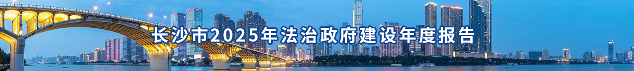 2025baogaobanner.png