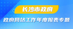 長沙市政府網站工作年度報表