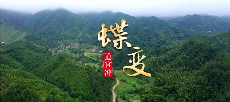 蝶變——道官?zèng)_