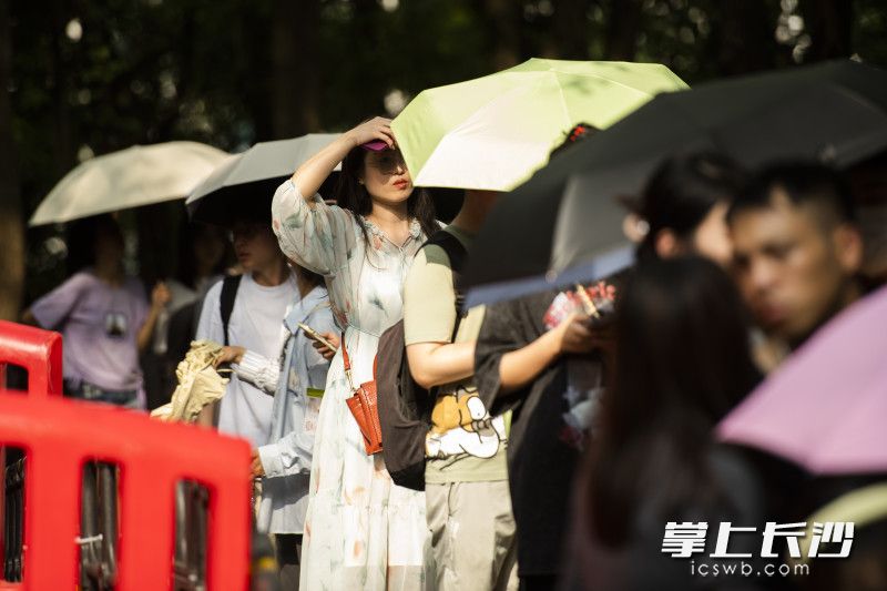 material_6453aeac7a866_compress1_watermark1.jpg