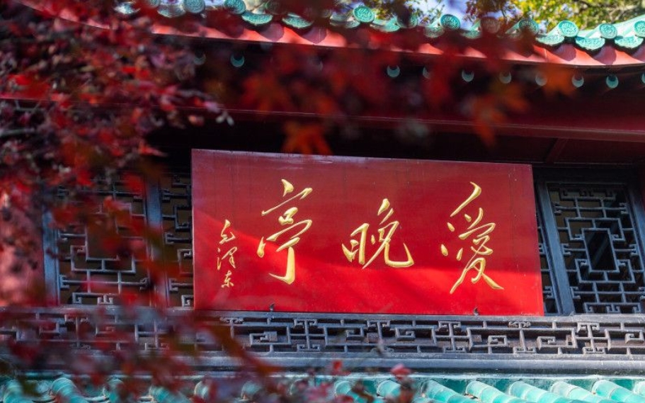 組圖丨岳麓山楓紅了，還猶豫什么呢，快來賞吧！